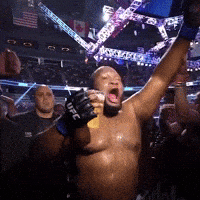 Sport Party GIF by UFC