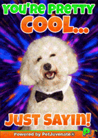 Love Rescue Dogs GIF by PetJuvenate