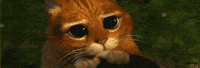 Follow Me Please GIF