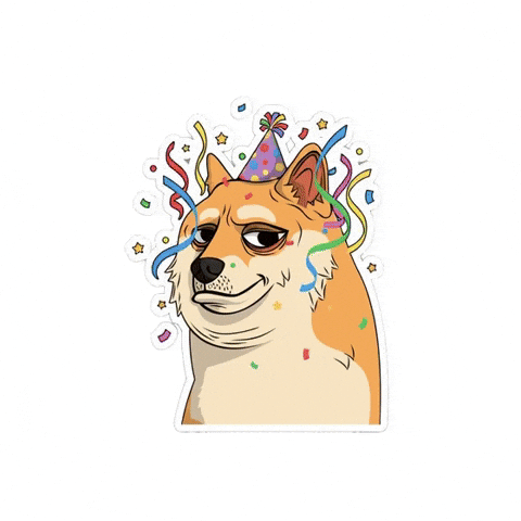 Celebrate You Happy Birthday GIF by Doge Pound