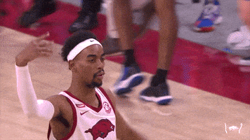 Come On Hogs GIF by Arkansas Razorbacks