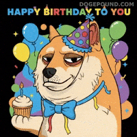 Tired Happy Birthday GIF by Doge Pound