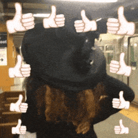 nyfw 2015 GIF by Clint Spaulding