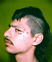 Hairspray 3D Gif GIF by Salim_Adam