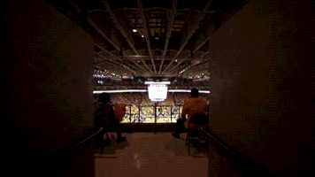 GIF by Golden State Warriors