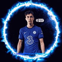 Premier League Blues GIF by Chelsea India