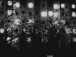 animation loop GIF by tverd