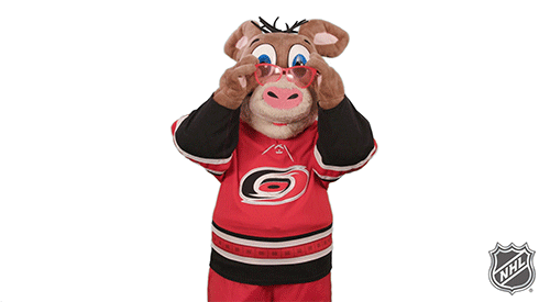 Ice Hockey GIF by NHL