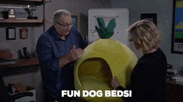 GIF by ABC Network
