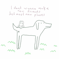 Art Dog GIF by zapatoverde