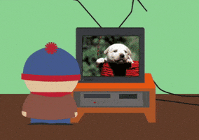 stan marsh television GIF by South Park 