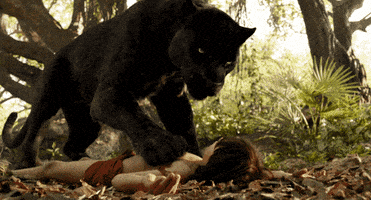 super bowl disney GIF by Disney's The Jungle Book