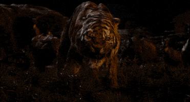 super bowl disney GIF by Disney's The Jungle Book