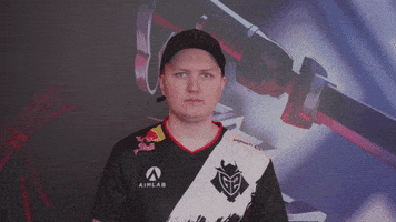 No Way Facepalm GIF by G2 Esports