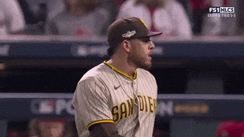 Lets Go Baseball GIF by MLB