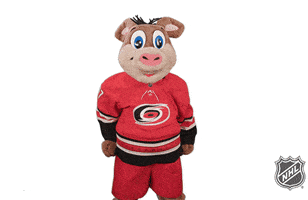 Happy Ice Hockey GIF by NHL