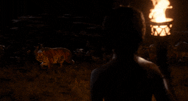 super bowl disney GIF by Disney's The Jungle Book