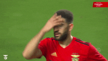 Sl Benfica Facepalm GIF by Sport Lisboa e Benfica