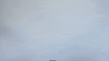 Scouting Looking GIF by G2 Esports