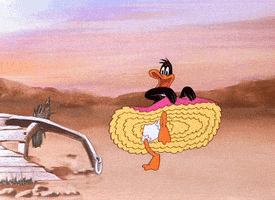 daffy duck dancing GIF