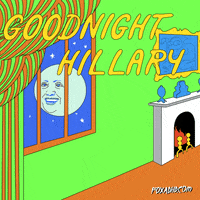 Hillary Clinton Parker Jackson GIF by gifnews