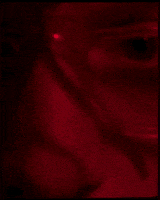 about last night animation GIF by CATTURA Production