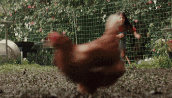 Lilo And Stitch Dog GIF by Walt Disney Studios