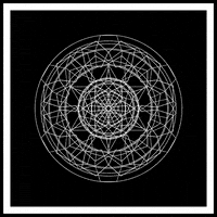 black and white loop GIF by xponentialdesign