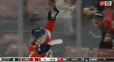 Happy Ice Hockey GIF by NHL