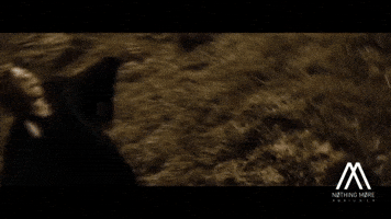 Music Video Rock GIF by Better Noise Music