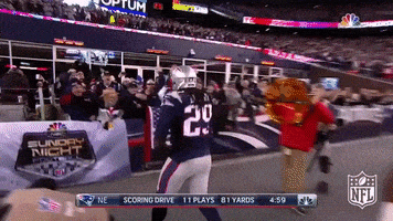 new england patriots football GIF by NFL