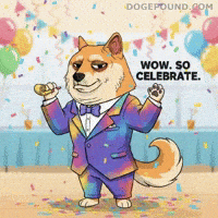 Sarcastic Shiba Inu GIF by Doge Pound