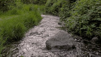 water rock GIF by Living Stills