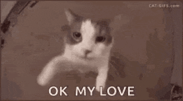 Okay Baby Love GIF