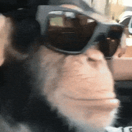Investir comme un singe