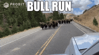 ☕Estamos en un ‘Bull Market’