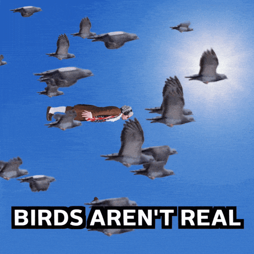 Conspiracy Theory Drone GIF