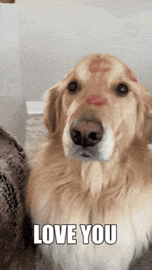 Valentines Day Love GIF by Finley