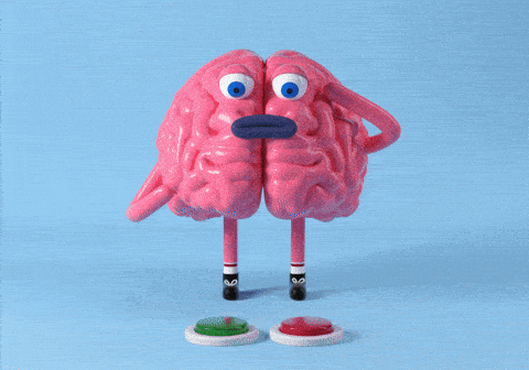 Decision Paralysis