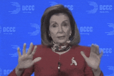 Be Patient Nancy Pelosi GIF by Election 2020