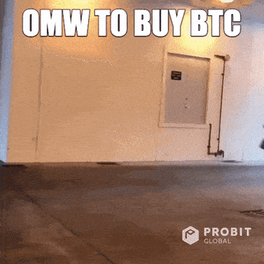 Meme Running GIF by ProBit Global