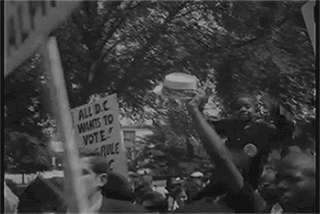 BlackVoter.Org