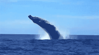 🐳 DeepSeek Goes Buffed on Homegrown Chips