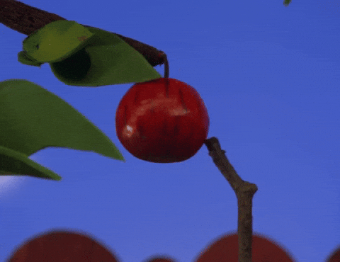 🧪Tariffs Dropped. Apple Ripped. What’s Next?