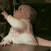  Your Baby Didn't Read the Guidelines