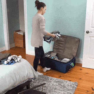✈️ The Bark-Byte – Pet Travel 101: Vol. 1Packing Like a Pro: Travel Essentials for Pets