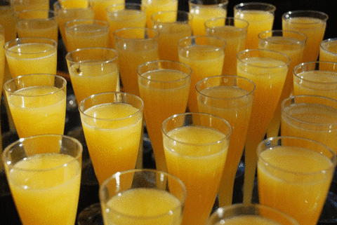 Mimosa Festival 2025: Toast to Good Times