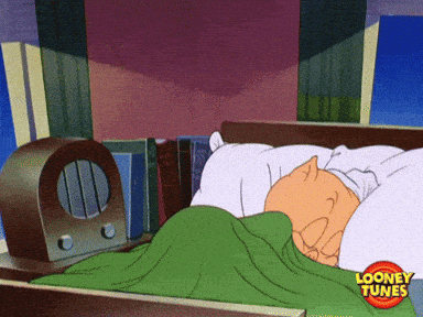 Oh No What GIF by Looney Tunes