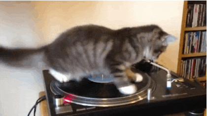 🍣 Sushi and Vinyl 🎶 