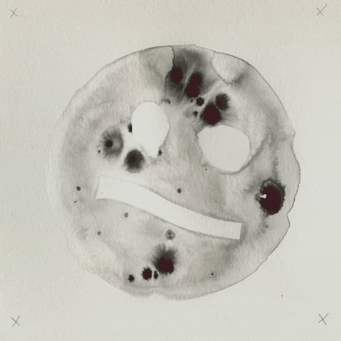 Adventuring through the Canadian Rockies